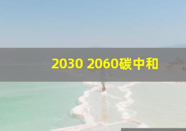 2030 2060碳中和